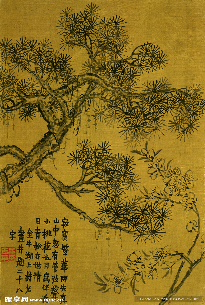 松树  