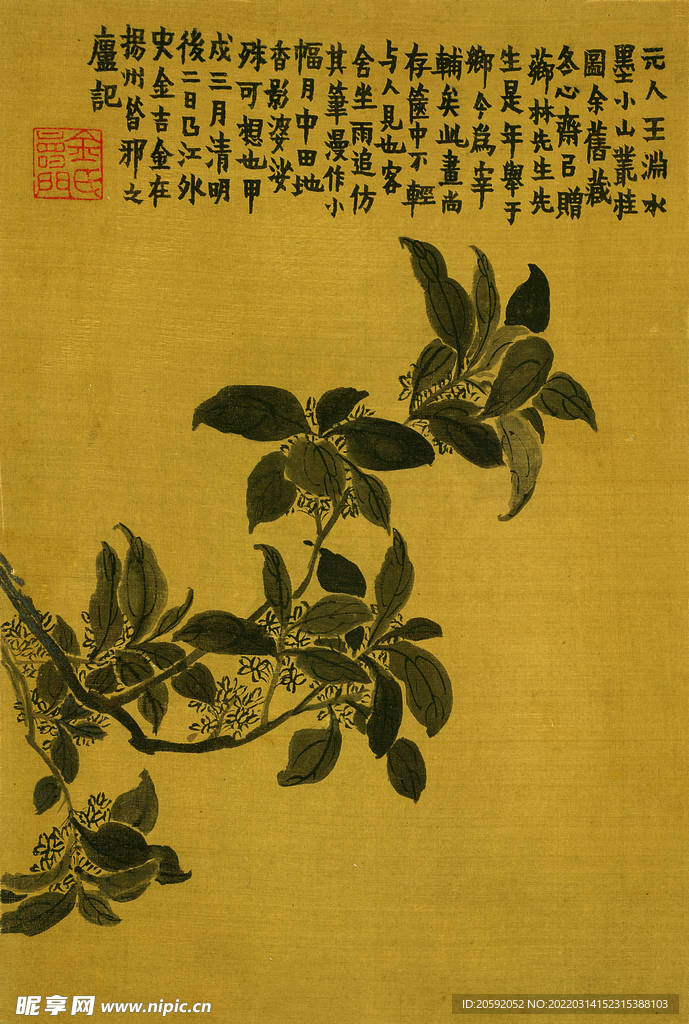 花鸟图  