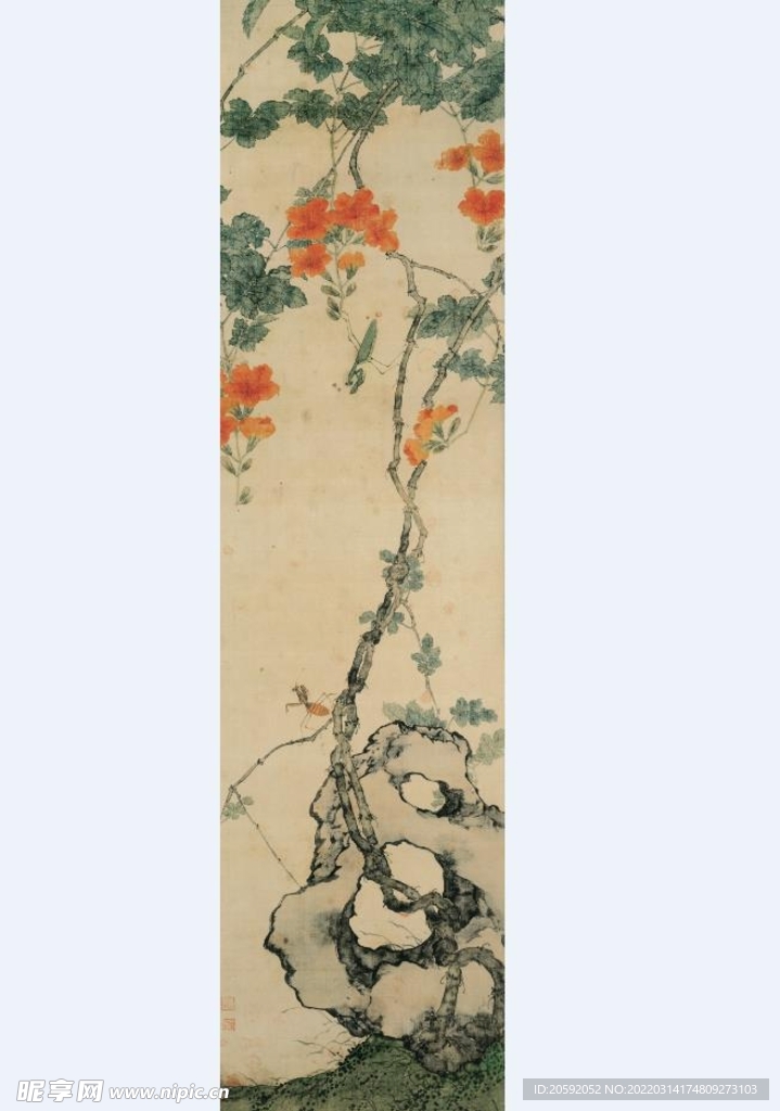 花卉  