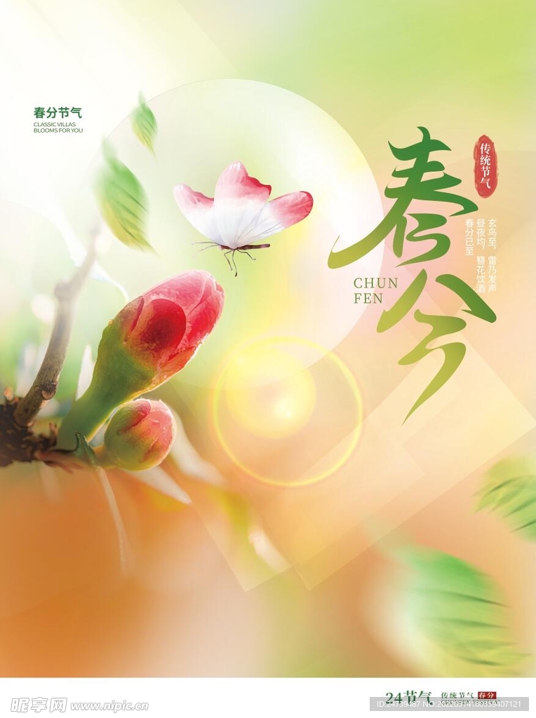 春分海报背景