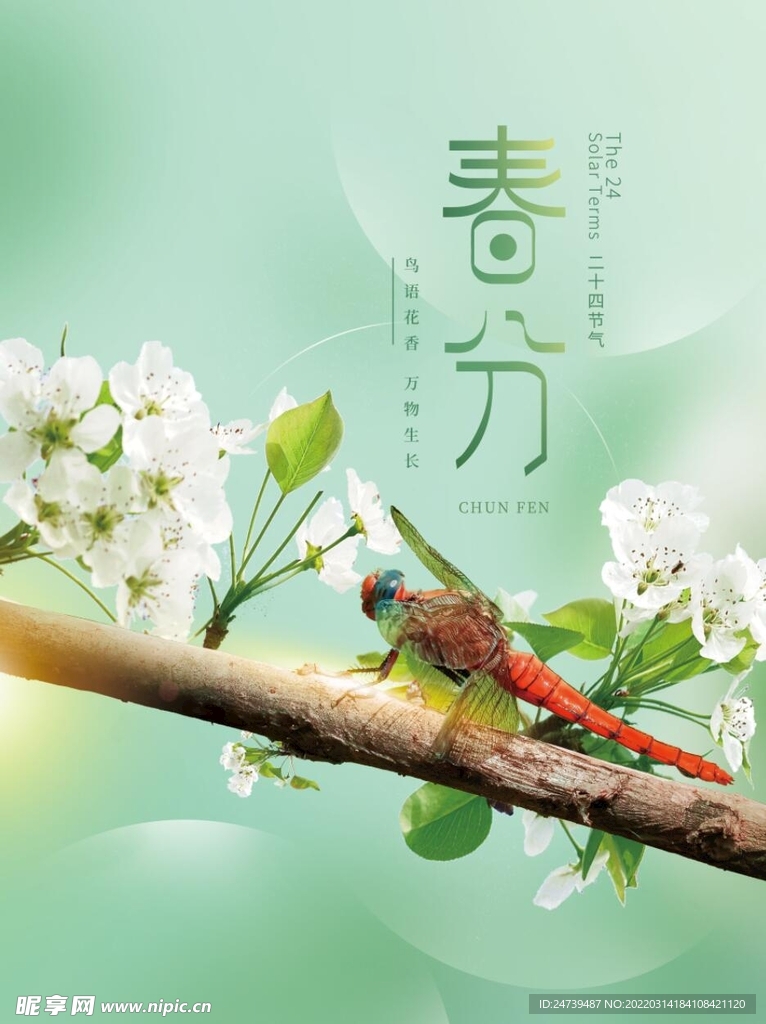 简约春分海报