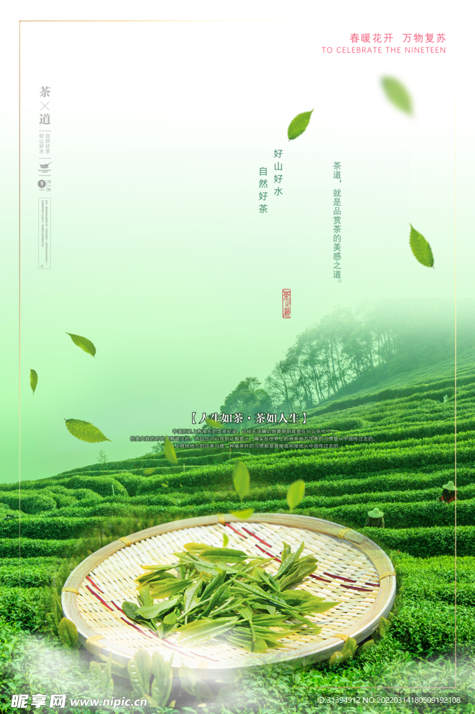茶背景
