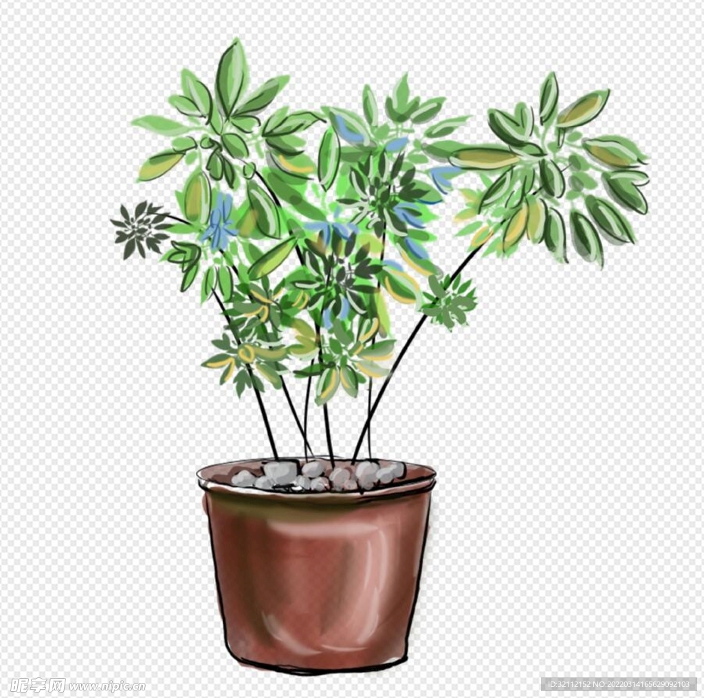卡通植物