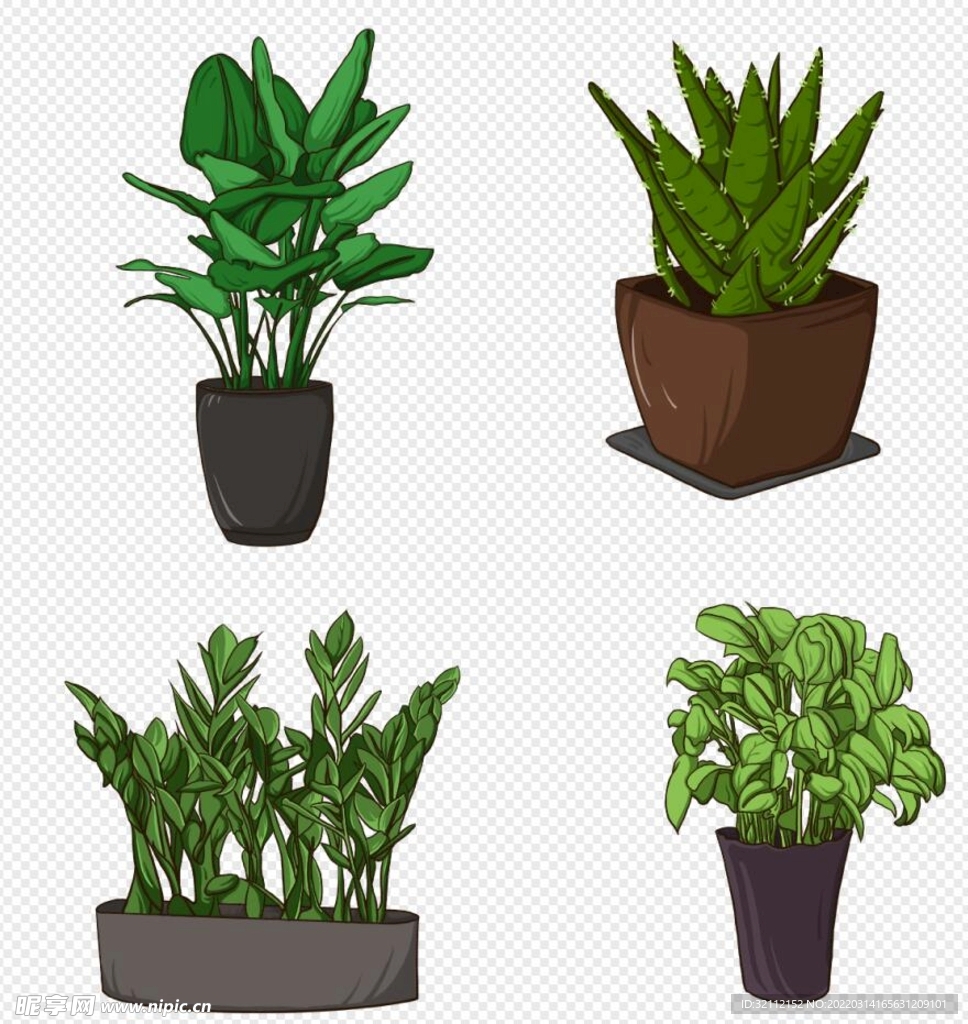 卡通植物