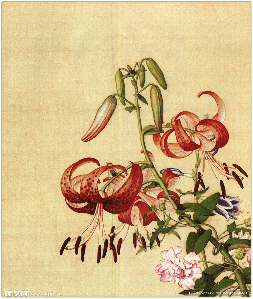 花鸟图 