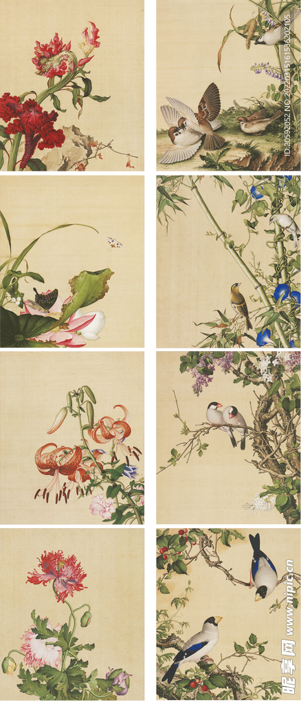 花鸟图  