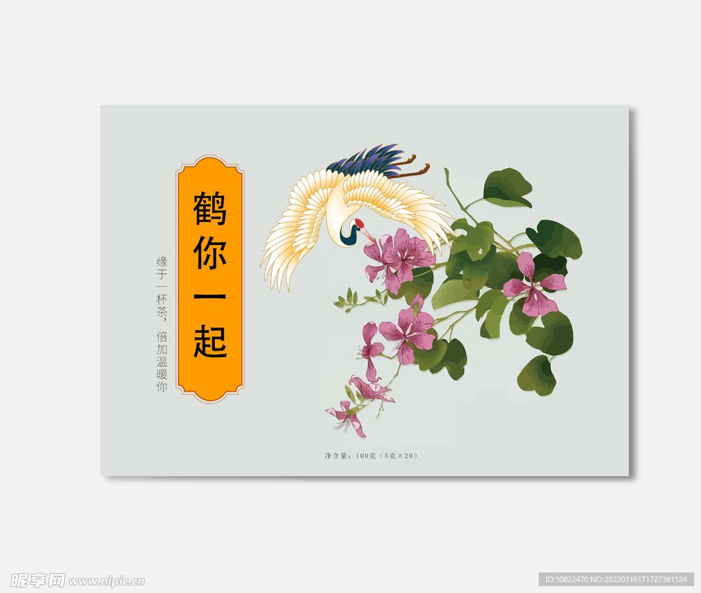 插画包装