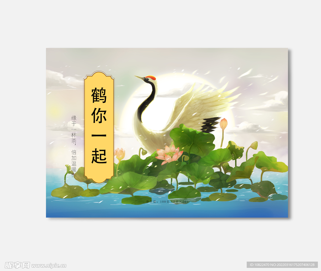 插画包装