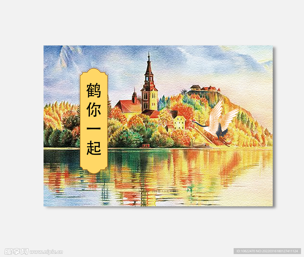 插画包装