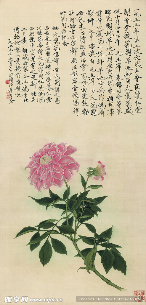 花鸟画  
