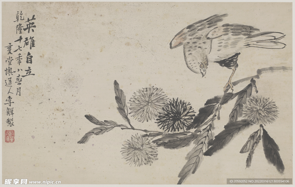 花鸟画 