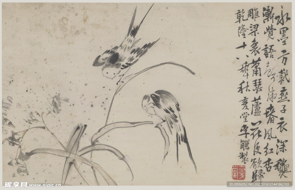 花鸟画 
