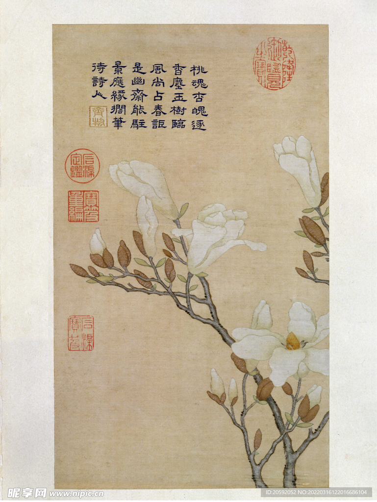 花鸟图   