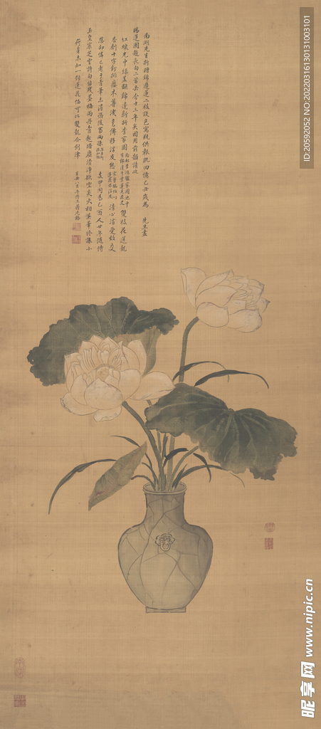  荷花图  