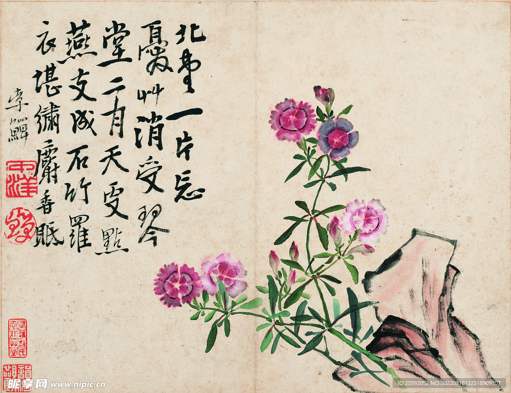 花鸟图 