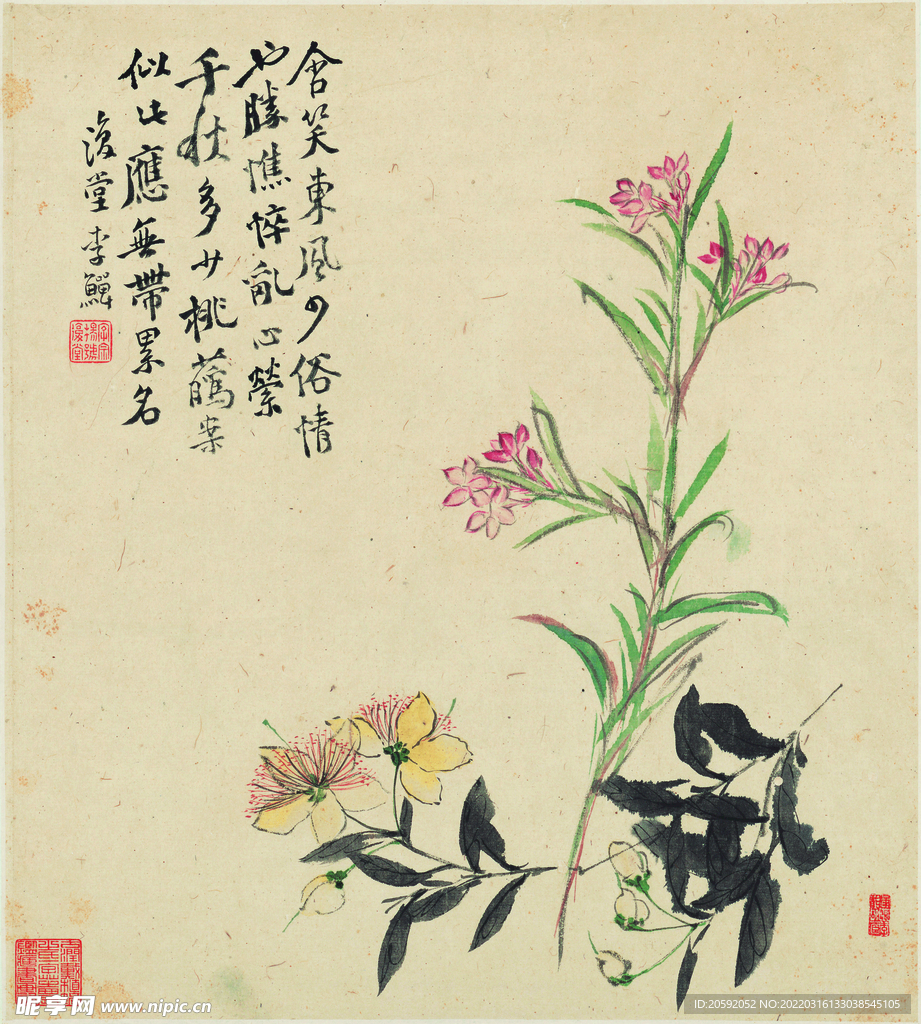 花鸟图  