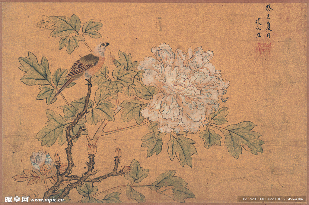 花鸟图 