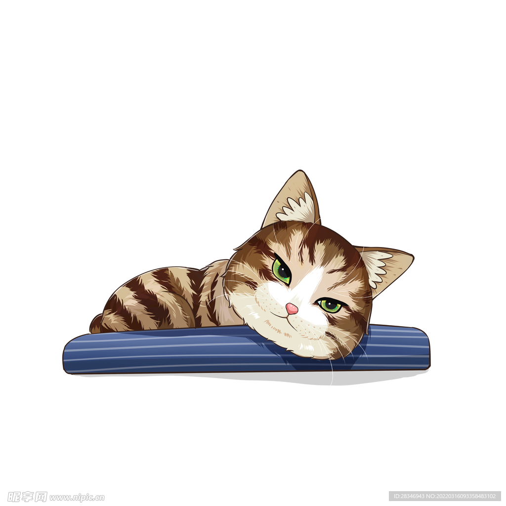 猫              