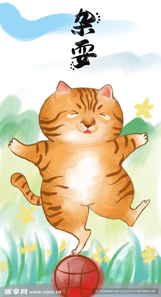 萌主猫            