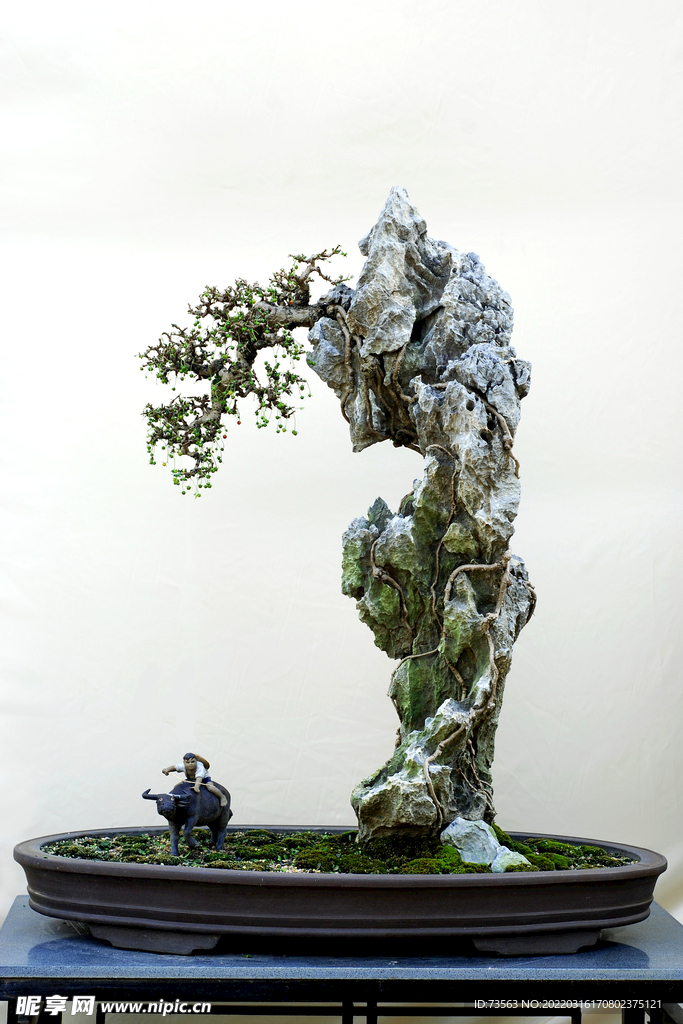 盘景
