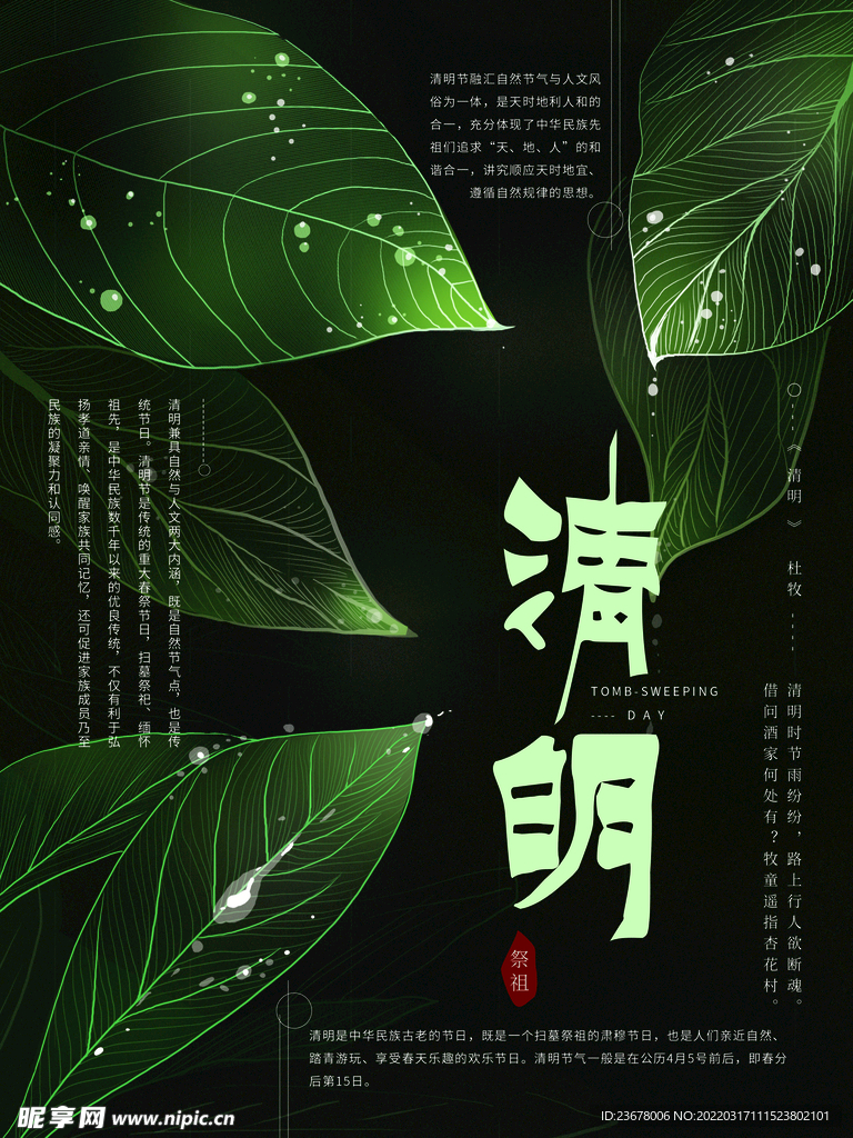 清明节 踏青 海报 插画   