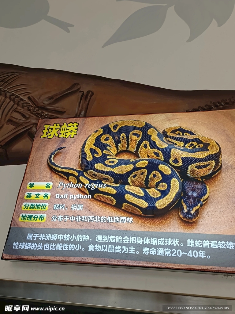 动物园标识