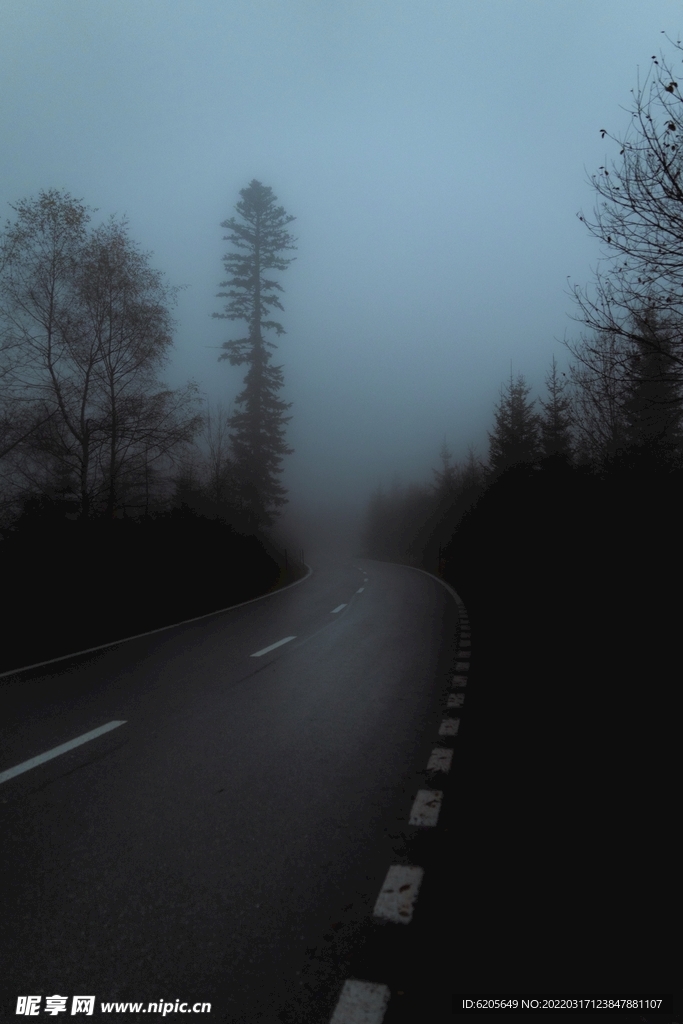 幽暗阴森的公路