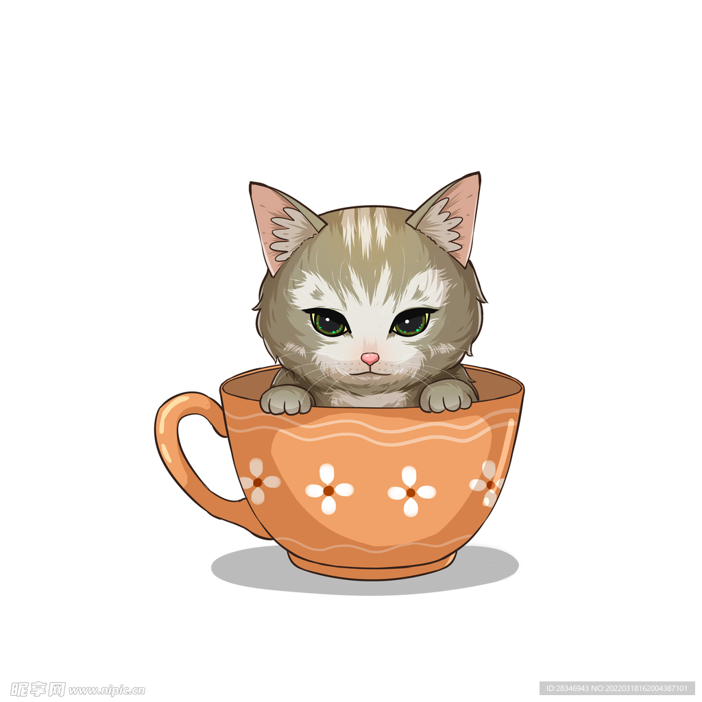 茶杯猫            