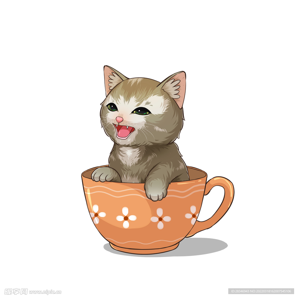 茶杯猫            