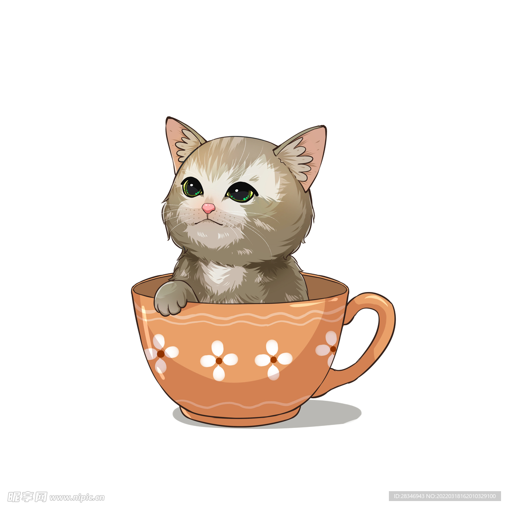 茶杯猫            
