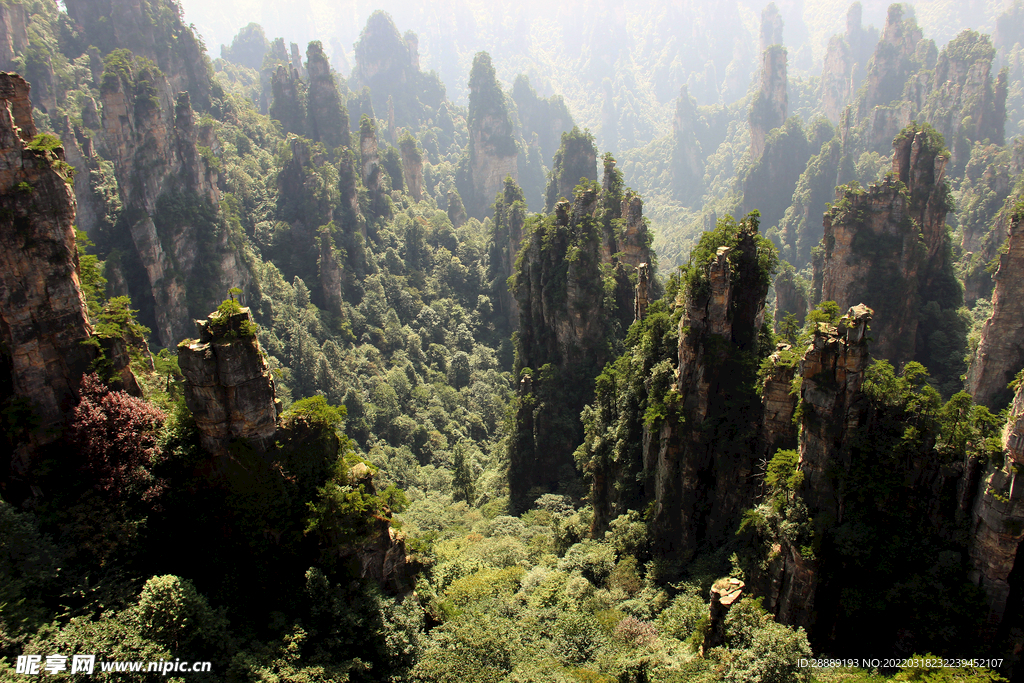张家界森林公园
