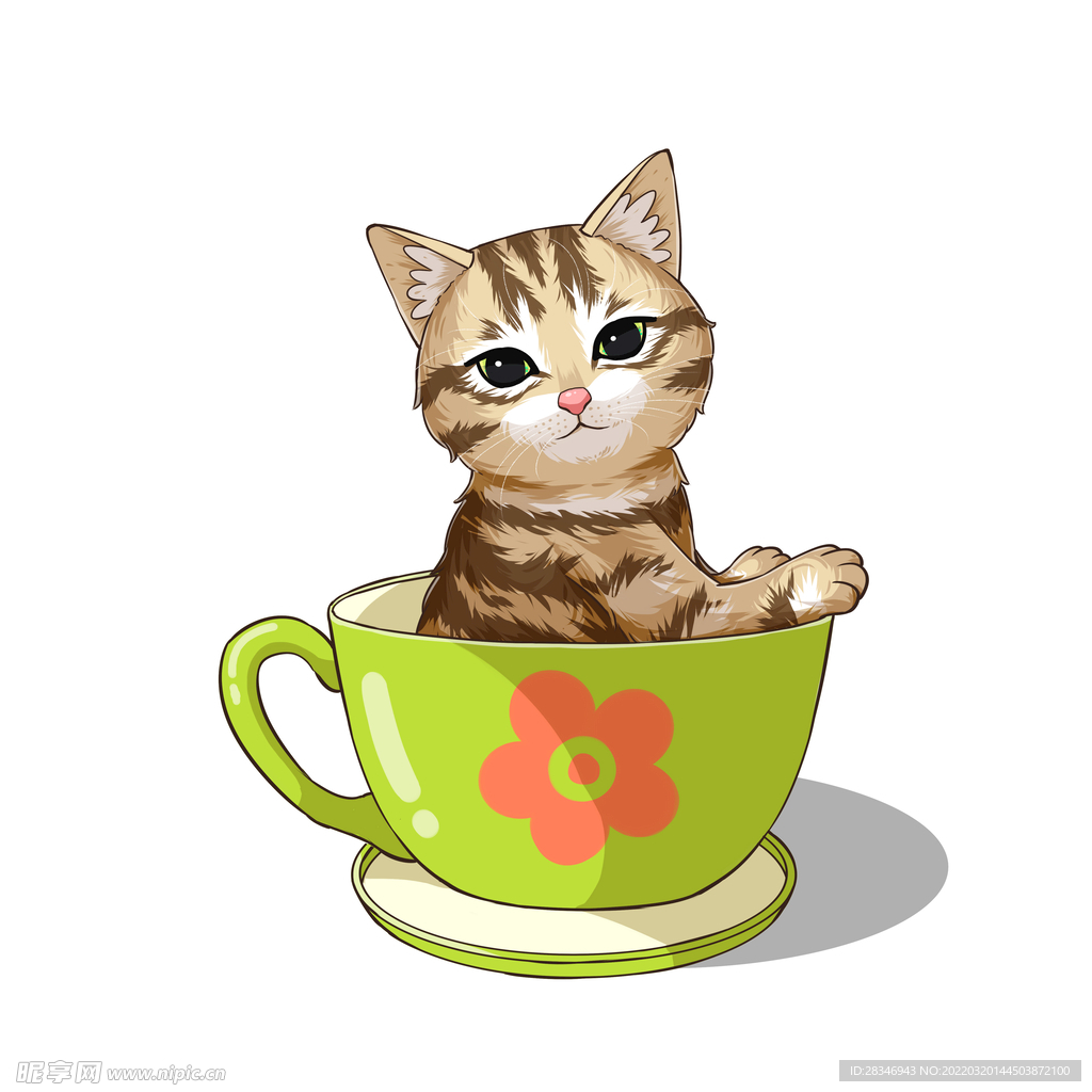 茶杯猫            