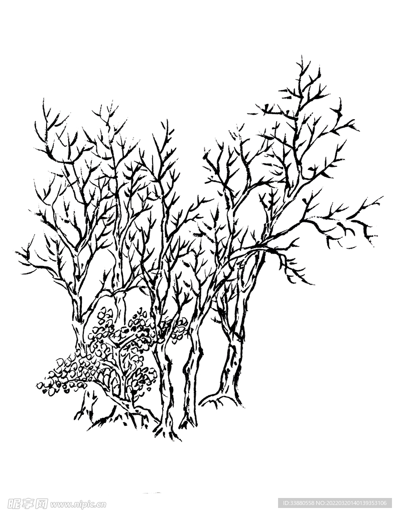 手绘枯树素材
