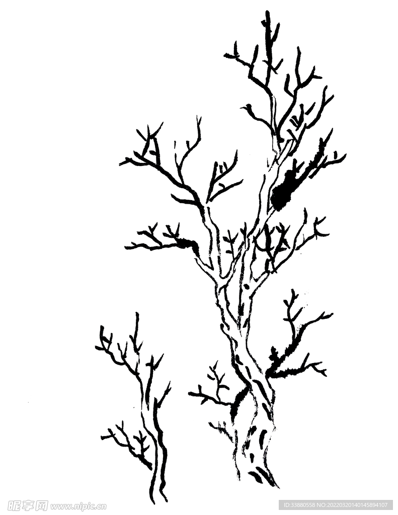 手绘枯树素材