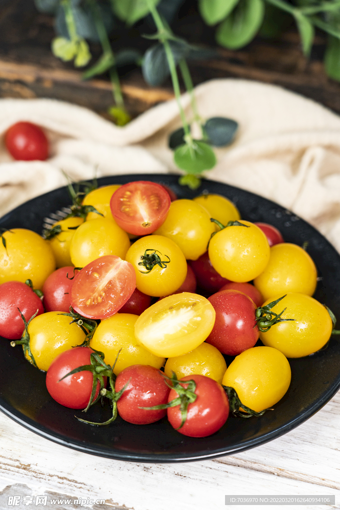盘装红黄小番茄