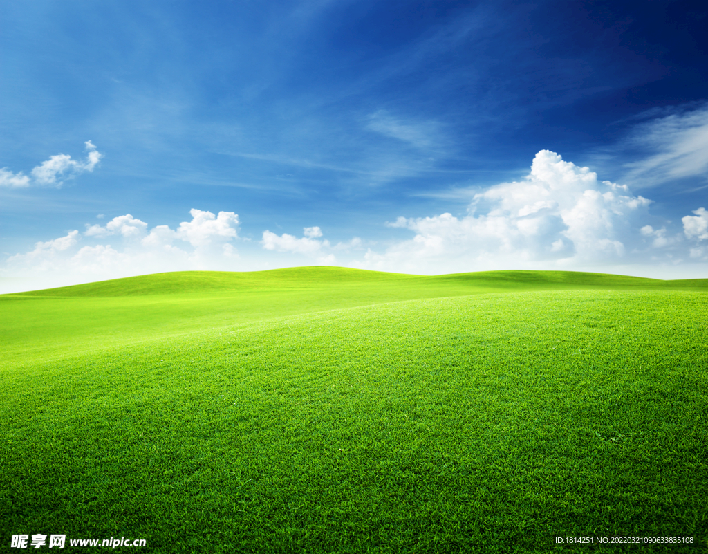 蓝天草地