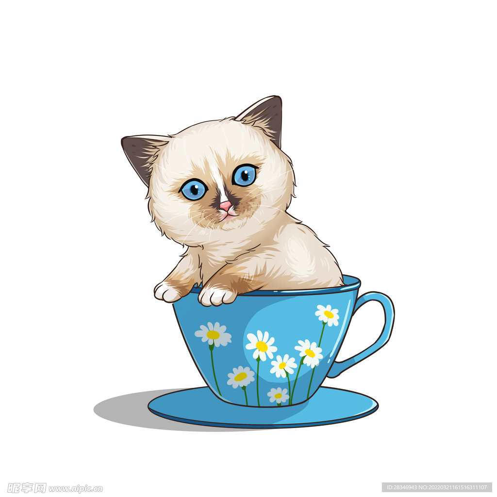 茶杯猫            