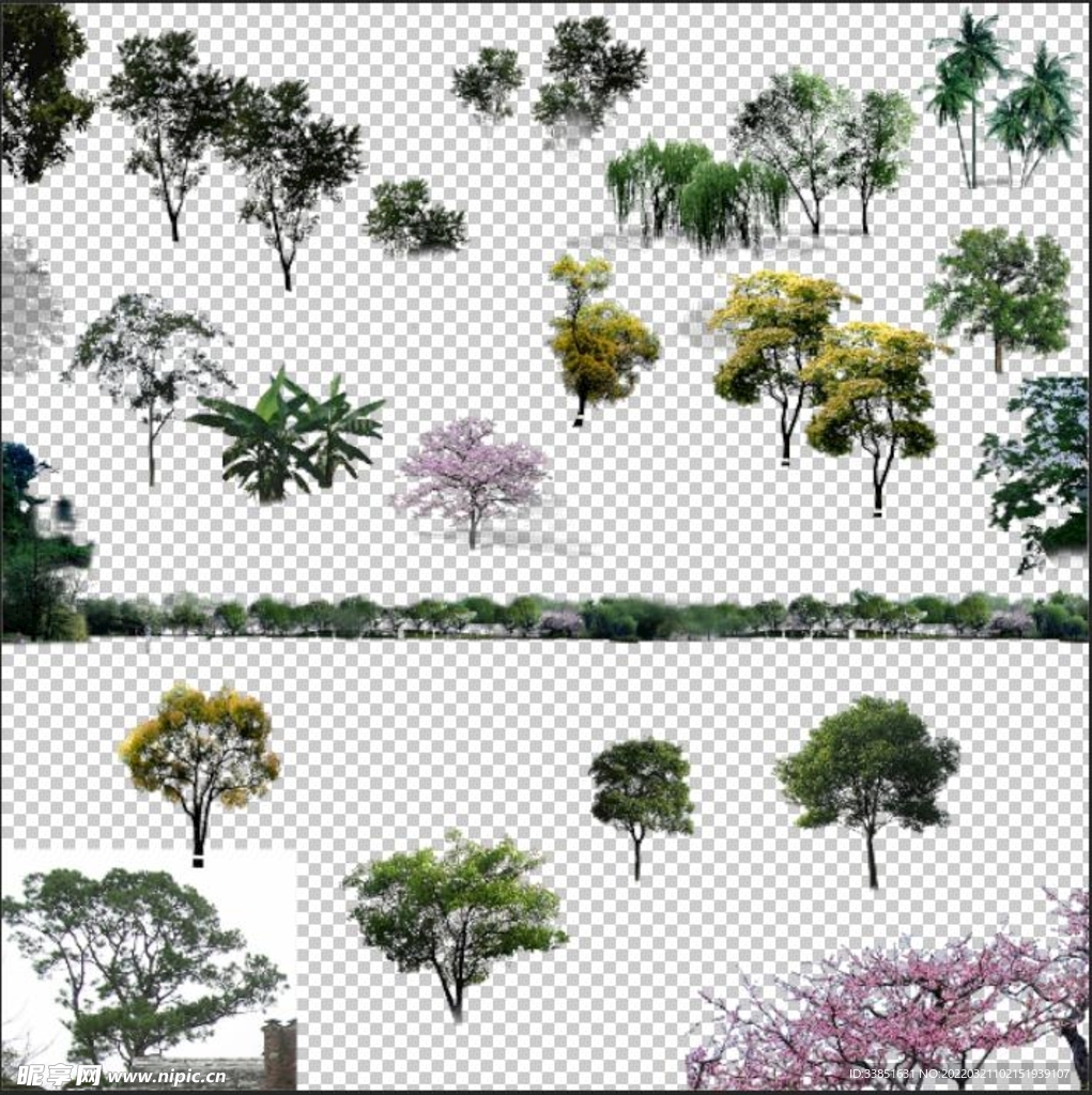 植物素材