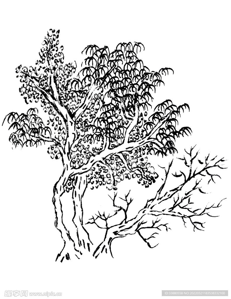 手绘枯树素材