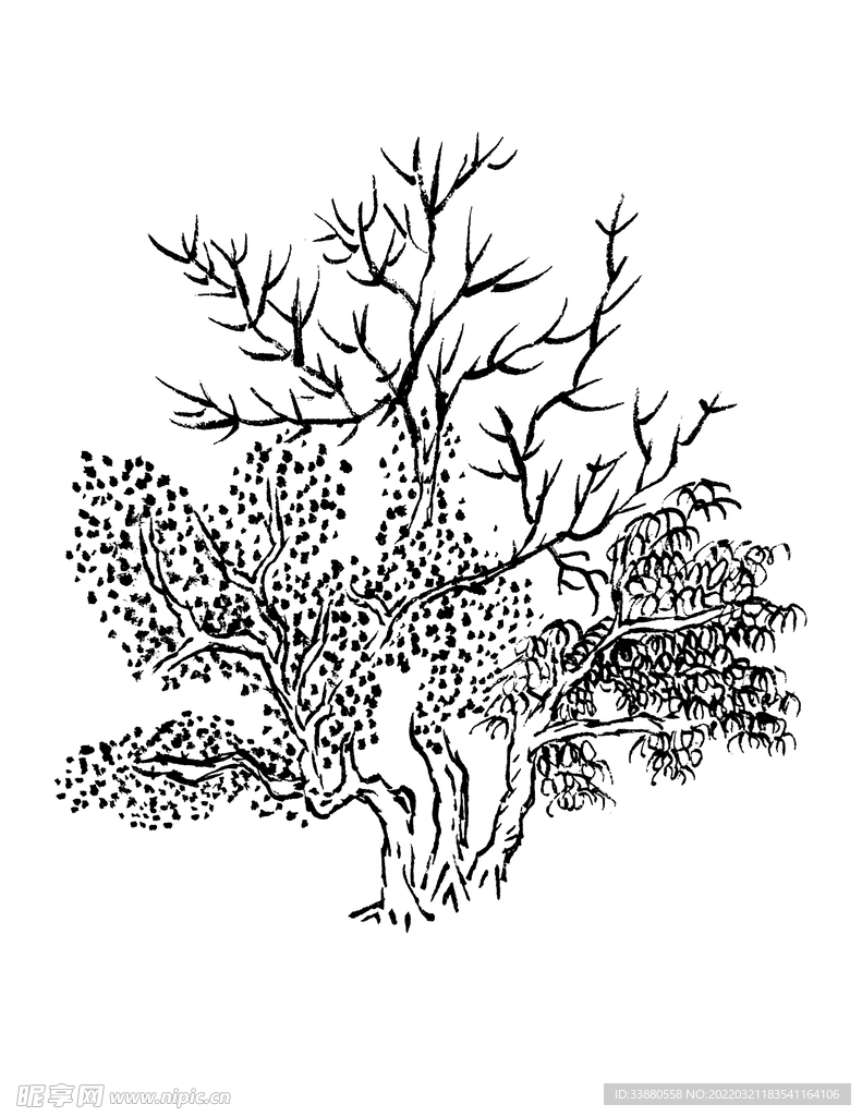 手绘枯树素材