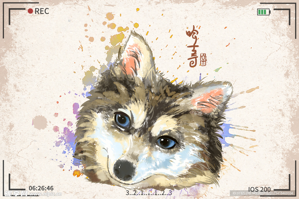 手绘卡通动物图片