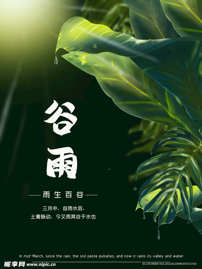 谷雨 插秧 播种 海报插画  