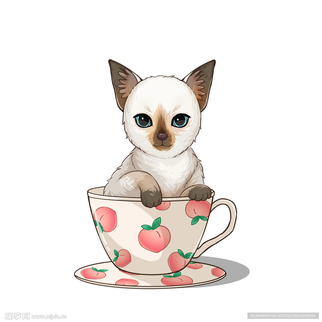 茶杯猫            