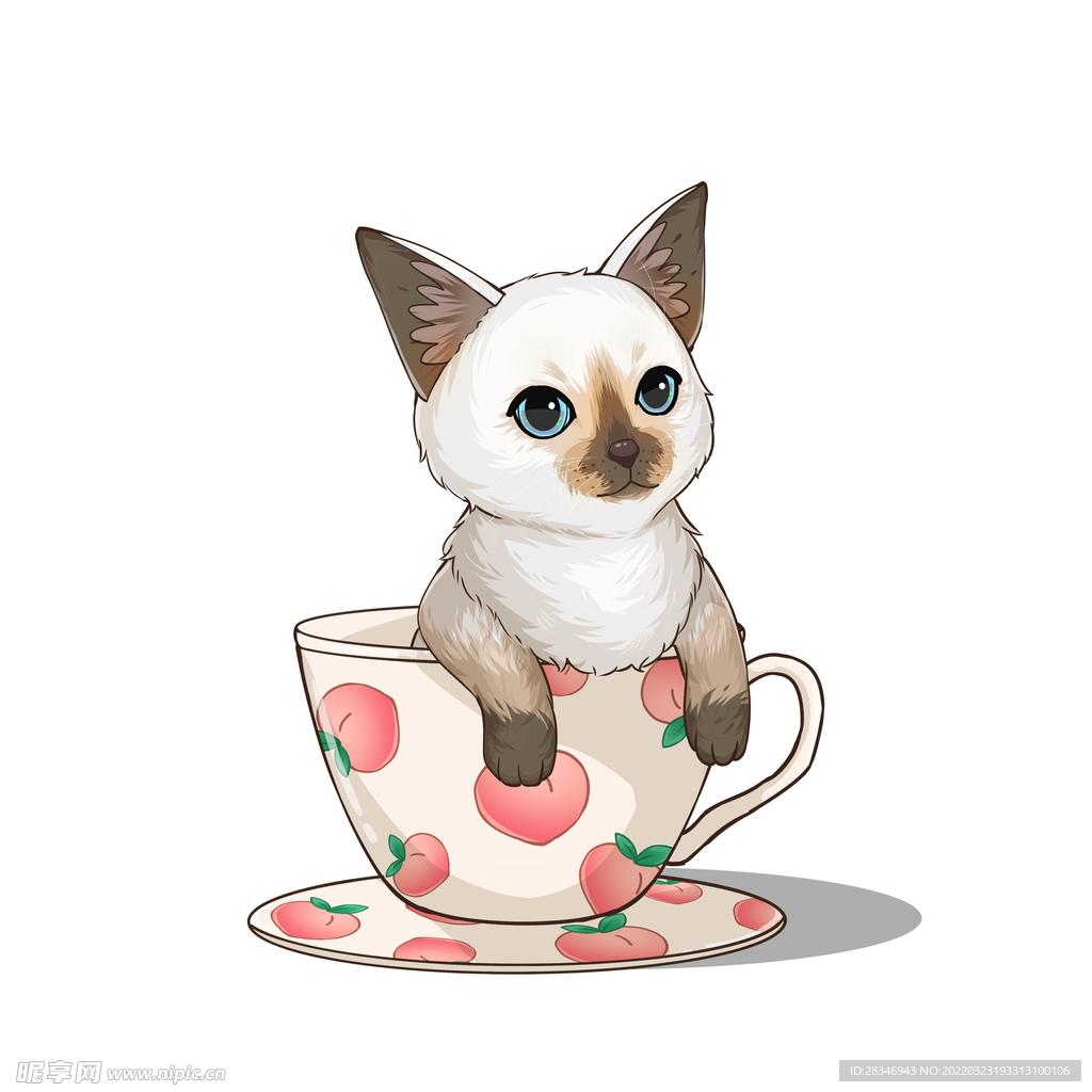 茶杯猫            