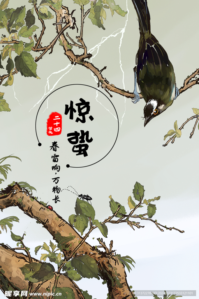  惊蛰插画图片