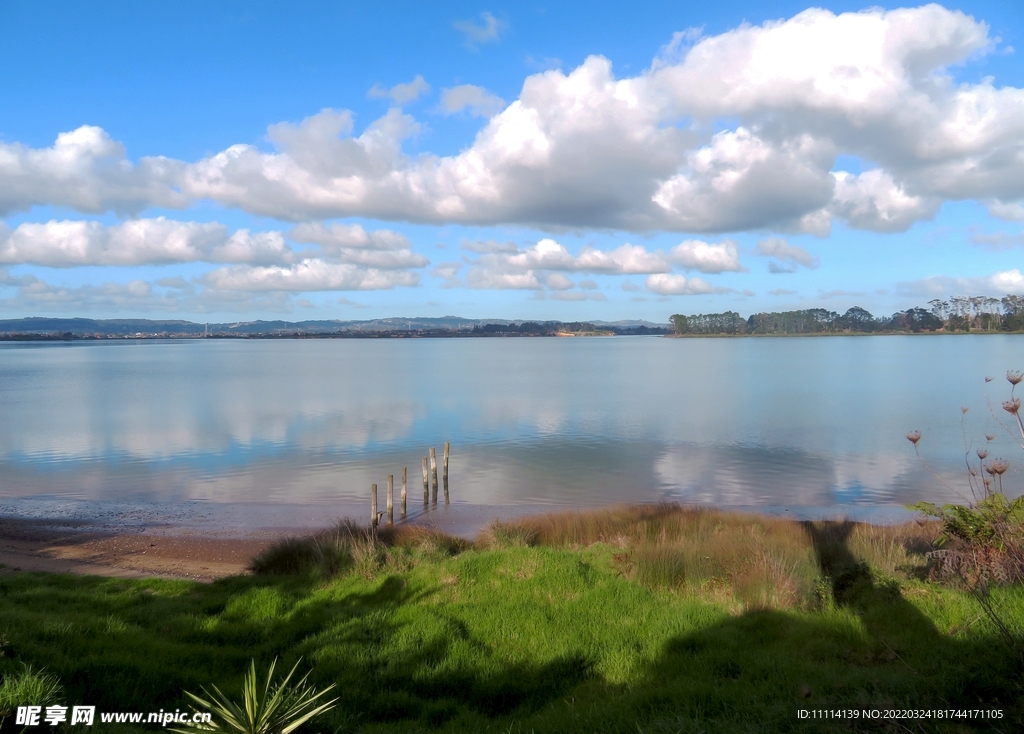 奥克兰海滨风景