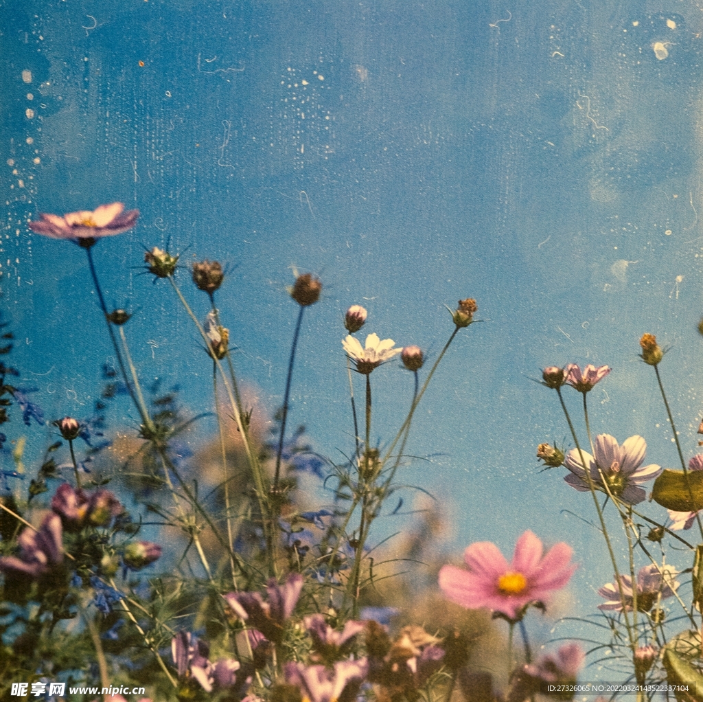 鲜花背景 