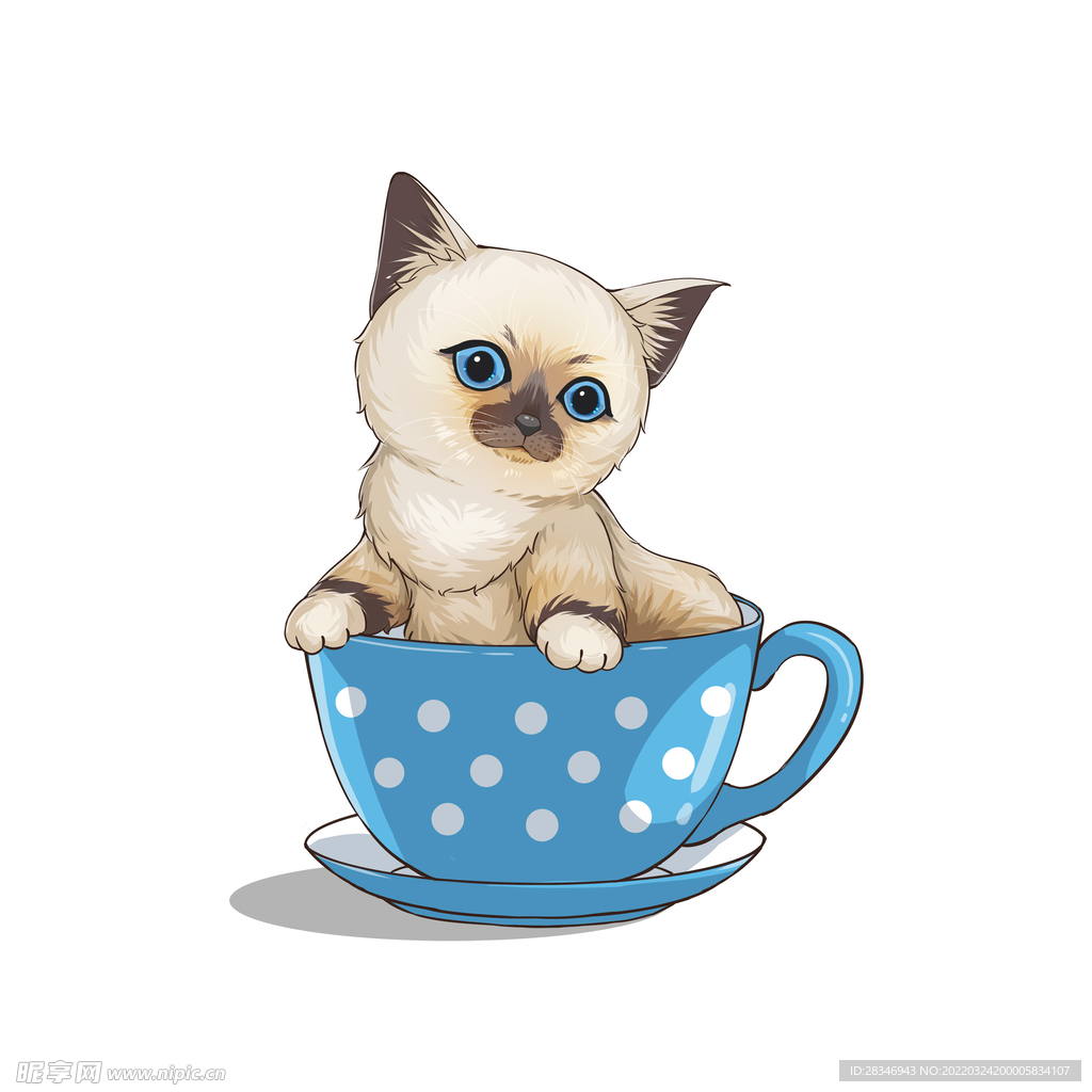 茶杯猫            