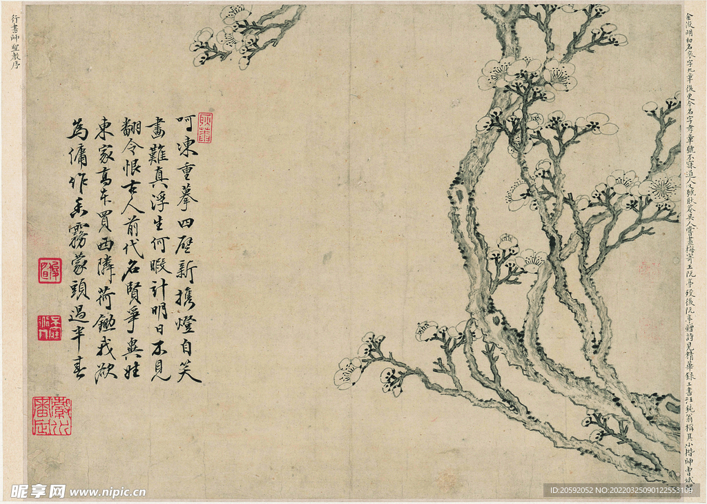 花鸟图  