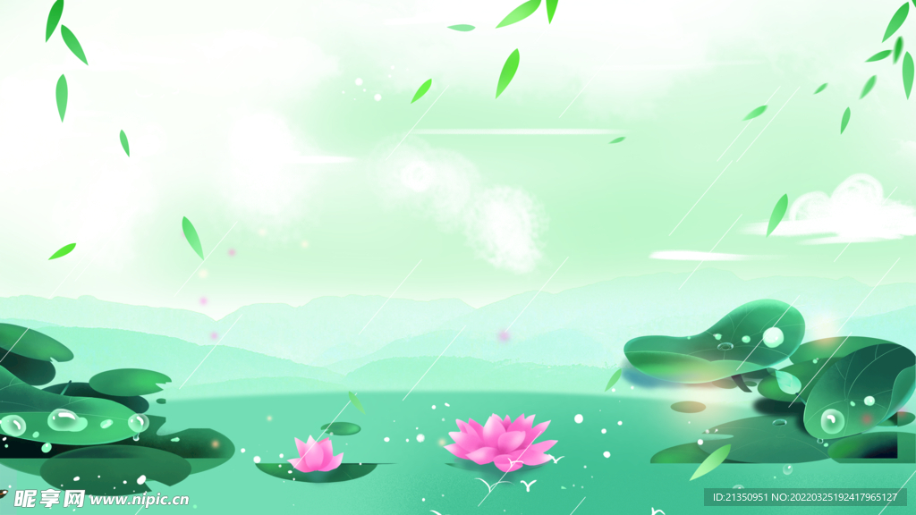 荷花